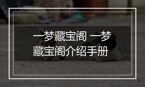 一梦藏宝阁 一梦藏宝阁介绍手册