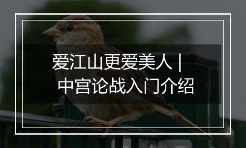 爱江山更爱美人 | 中宫论战入门介绍
