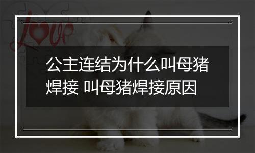 公主连结为什么叫母猪焊接 叫母猪焊接原因