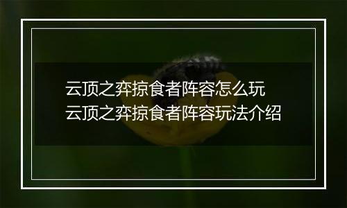 云顶之弈掠食者阵容怎么玩 云顶之弈掠食者阵容玩法介绍
