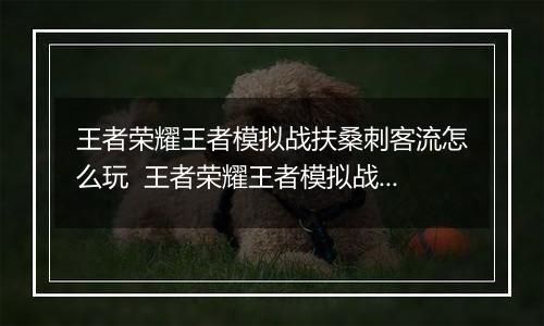 王者荣耀王者模拟战扶桑刺客流怎么玩  王者荣耀王者模拟战扶桑刺客流玩法推荐