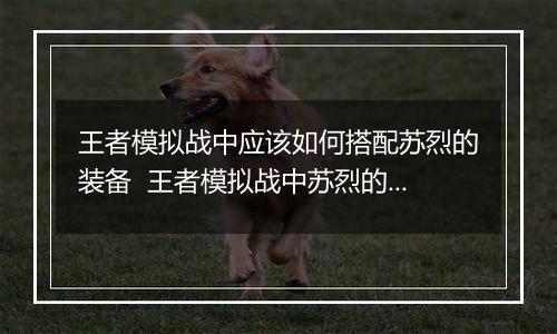 王者模拟战中应该如何搭配苏烈的装备  王者模拟战中苏烈的装备搭配推荐