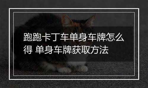 跑跑卡丁车单身车牌怎么得 单身车牌获取方法
