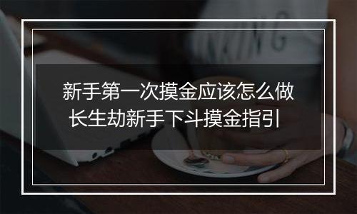 新手第一次摸金应该怎么做 长生劫新手下斗摸金指引