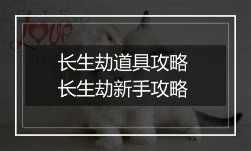 长生劫道具攻略 长生劫新手攻略