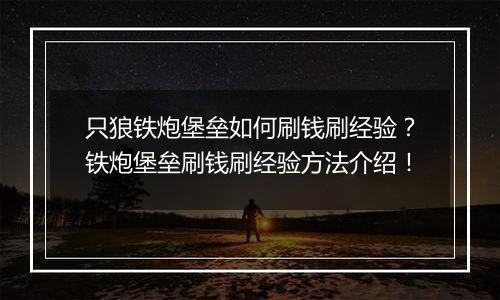 只狼铁炮堡垒如何刷钱刷经验？铁炮堡垒刷钱刷经验方法介绍！