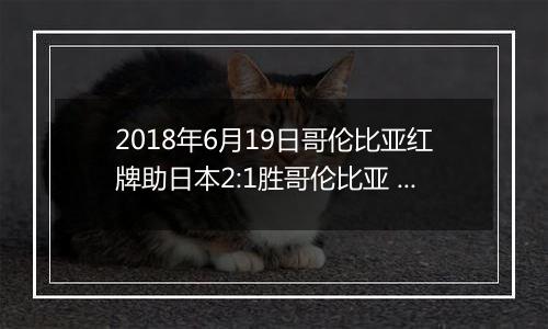 2018年6月19日哥伦比亚红牌助日本2:1胜哥伦比亚 桑切斯禁区手球被罚下视频
