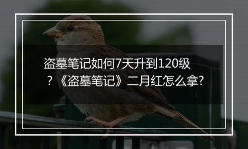 盗墓笔记如何7天升到120级？《盗墓笔记》二月红怎么拿?