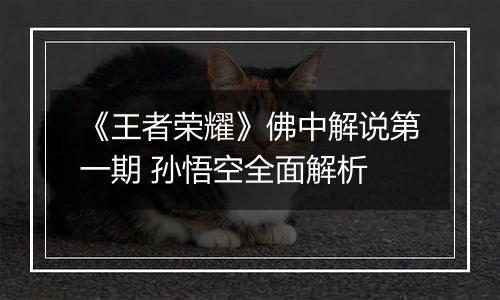 《王者荣耀》佛中解说第一期 孙悟空全面解析