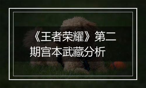 《王者荣耀》第二期宫本武藏分析