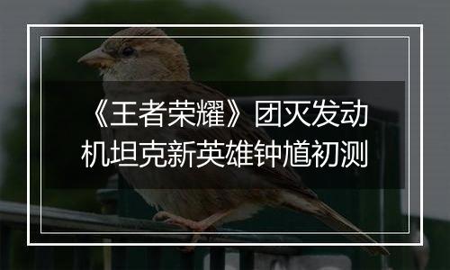 《王者荣耀》团灭发动机坦克新英雄钟馗初测