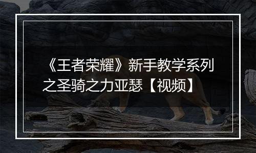 《王者荣耀》新手教学系列之圣骑之力亚瑟【视频】