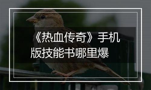 《热血传奇》手机版技能书哪里爆