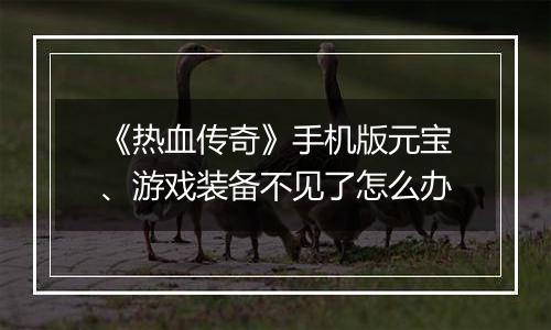 《热血传奇》手机版元宝、游戏装备不见了怎么办