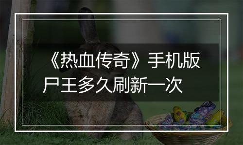《热血传奇》手机版尸王多久刷新一次