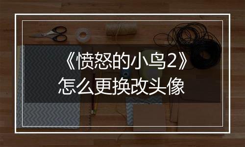 《愤怒的小鸟2》怎么更换改头像