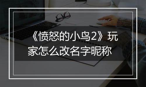 《愤怒的小鸟2》玩家怎么改名字昵称