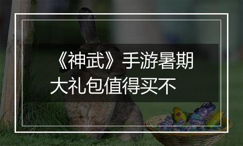 《神武》手游暑期大礼包值得买不