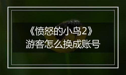 《愤怒的小鸟2》游客怎么换成账号