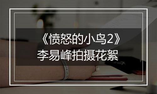 《愤怒的小鸟2》李易峰拍摄花絮