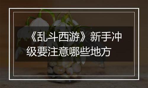 《乱斗西游》新手冲级要注意哪些地方