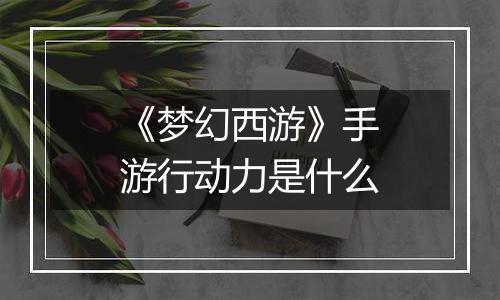 《梦幻西游》手游行动力是什么