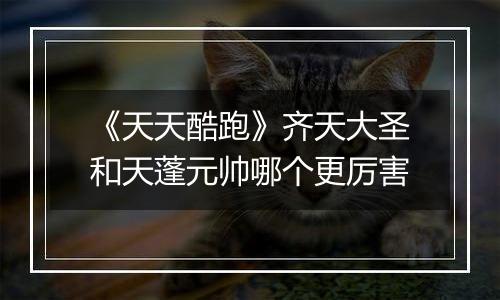 《天天酷跑》齐天大圣和天蓬元帅哪个更厉害