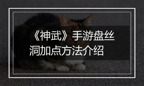 《神武》手游盘丝洞加点方法介绍