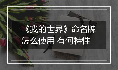 《我的世界》命名牌怎么使用 有何特性
