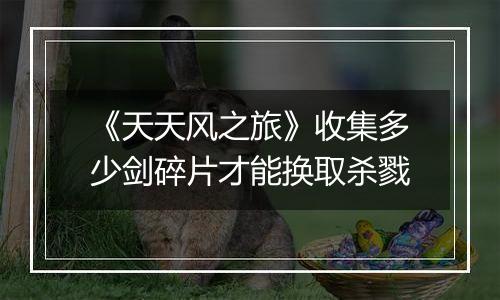 《天天风之旅》收集多少剑碎片才能换取杀戮
