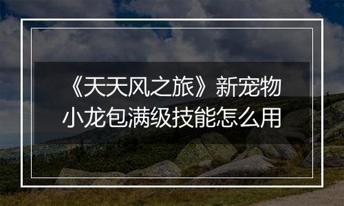 《天天风之旅》新宠物小龙包满级技能怎么用