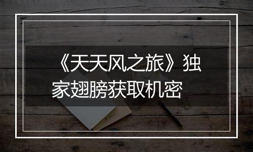 《天天风之旅》独家翅膀获取机密