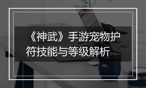 《神武》手游宠物护符技能与等级解析