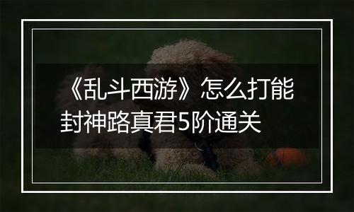 《乱斗西游》怎么打能封神路真君5阶通关