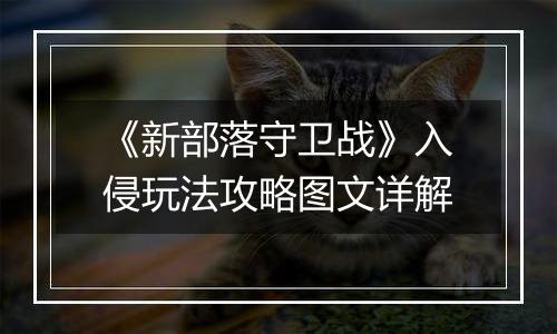 《新部落守卫战》入侵玩法攻略图文详解
