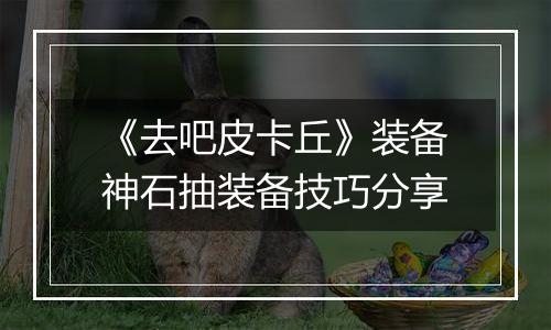 《去吧皮卡丘》装备神石抽装备技巧分享