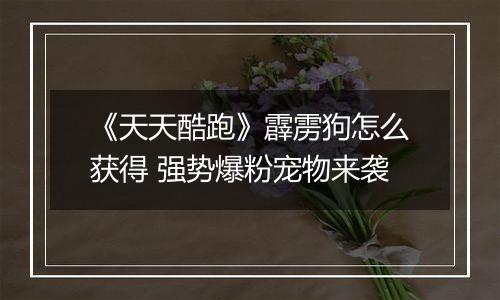 《天天酷跑》霹雳狗怎么获得 强势爆粉宠物来袭