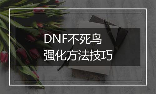 DNF不死鸟强化方法技巧