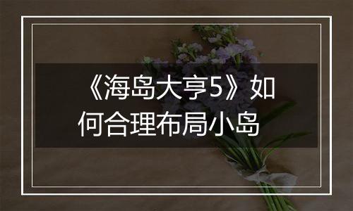 《海岛大亨5》如何合理布局小岛