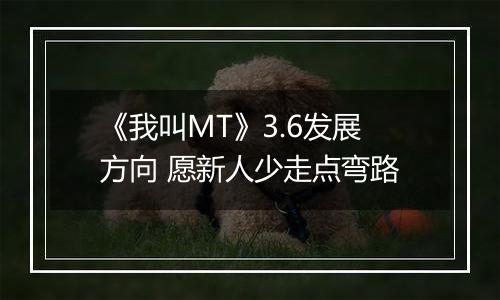 《我叫MT》3.6发展方向 愿新人少走点弯路