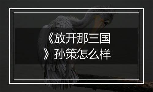 《放开那三国》孙策怎么样