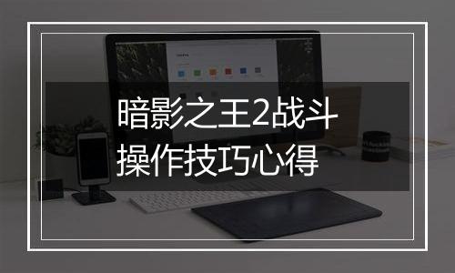 暗影之王2战斗操作技巧心得