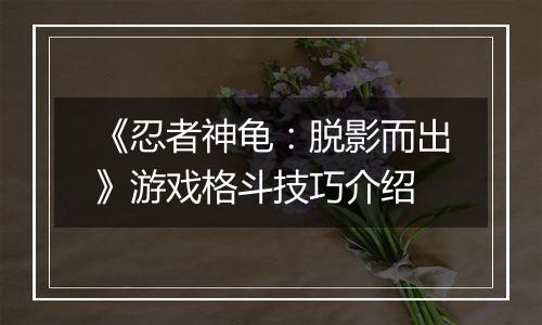 《忍者神龟：脱影而出》游戏格斗技巧介绍