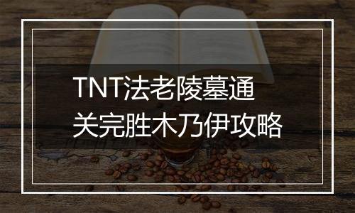 TNT法老陵墓通关完胜木乃伊攻略