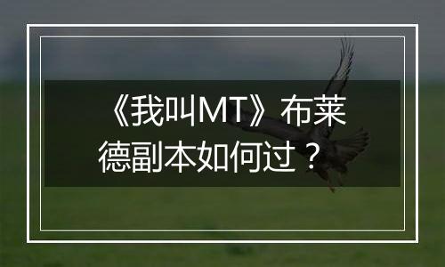 《我叫MT》布莱德副本如何过？