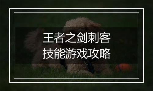 王者之剑刺客技能游戏攻略