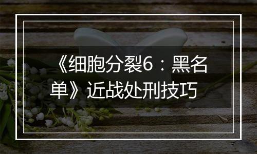 《细胞分裂6：黑名单》近战处刑技巧