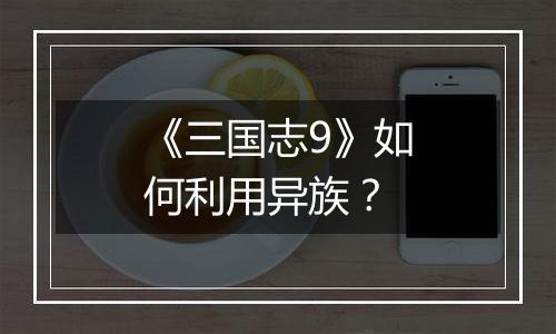 《三国志9》如何利用异族？