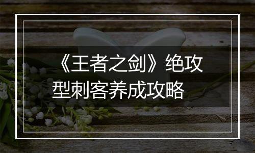 《王者之剑》绝攻型刺客养成攻略