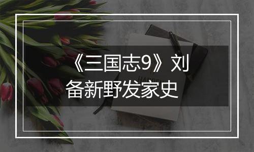 《三国志9》刘备新野发家史